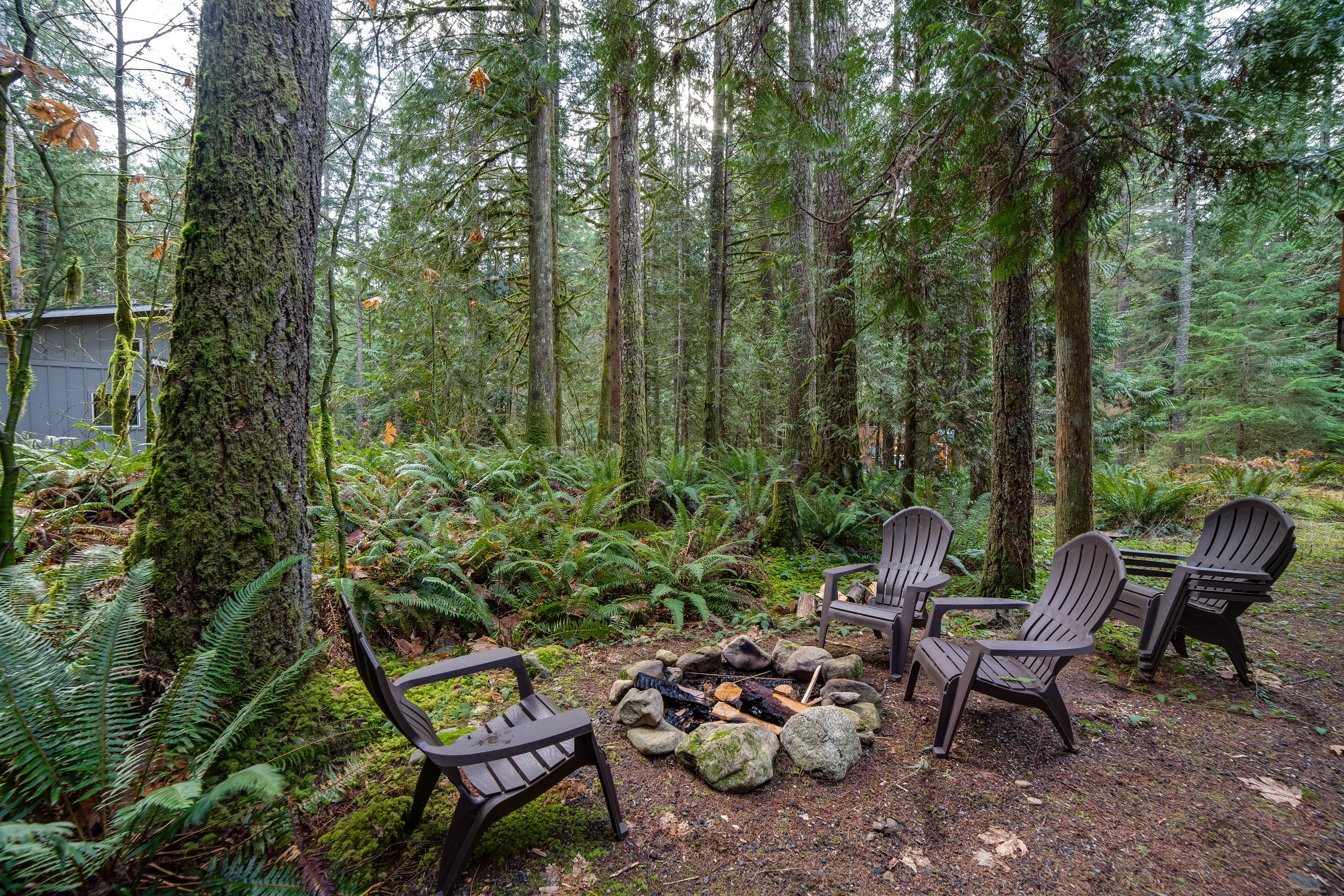 Camper submitted image from Glacier Springs Cabin #42 - Mt. Baker Lodging - 5