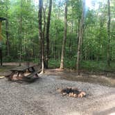 Review photo of Glamping at Deer Camp by Lori H., June 24, 2019