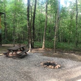 Review photo of Glamping at Deer Camp  by Lori H., June 24, 2019