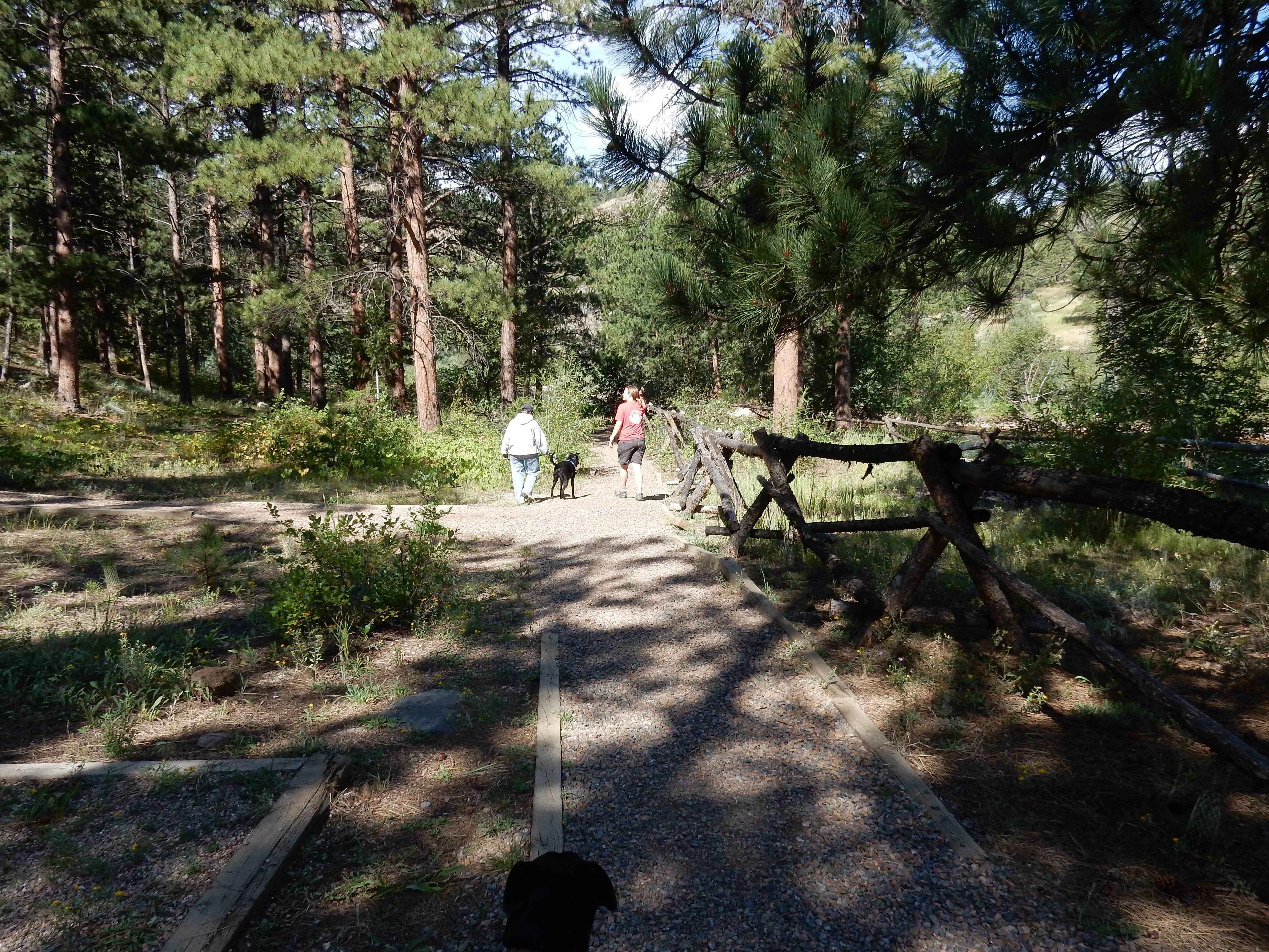 Camper submitted image from Mountain Park - 3