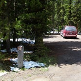 Review photo of Chisholm Campground by Dexter I., June 24, 2019