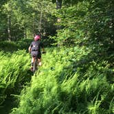 Review photo of Black Moshannon State Park Campground by Travis S., June 24, 2019