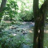 Review photo of Black Moshannon State Park Campground by Travis S., June 24, 2019