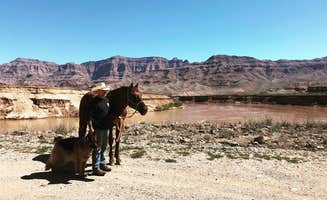 Samantha J.'s photo of camping with pets at Happy Trails Campground & Mini Motel near Temple Bar Marina, AZ
