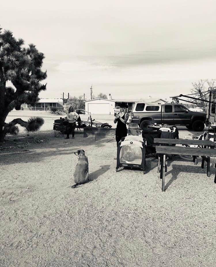 Camper-submitted photo at Happy Trails Campground & Mini Motel near Willow Beach, AZ