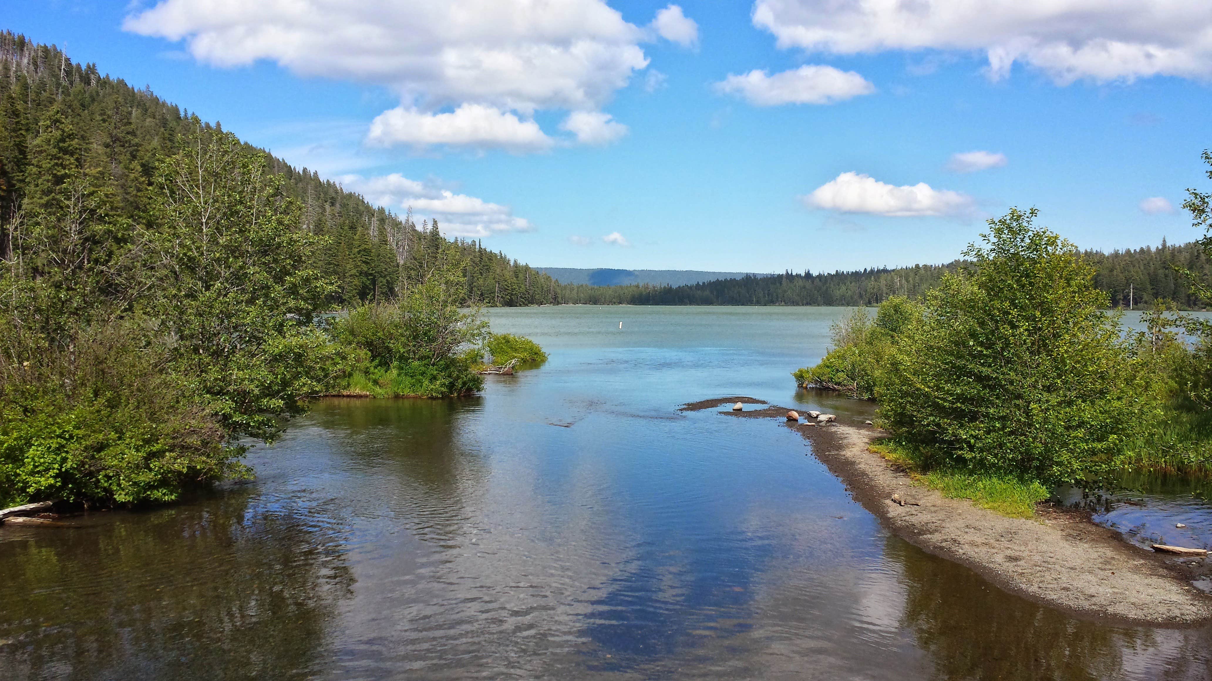 Camper submitted image from Link Creek - 3