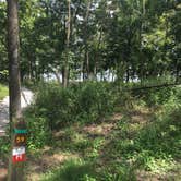Review photo of Long Branch State Park Campground by Matt S., September 3, 2016