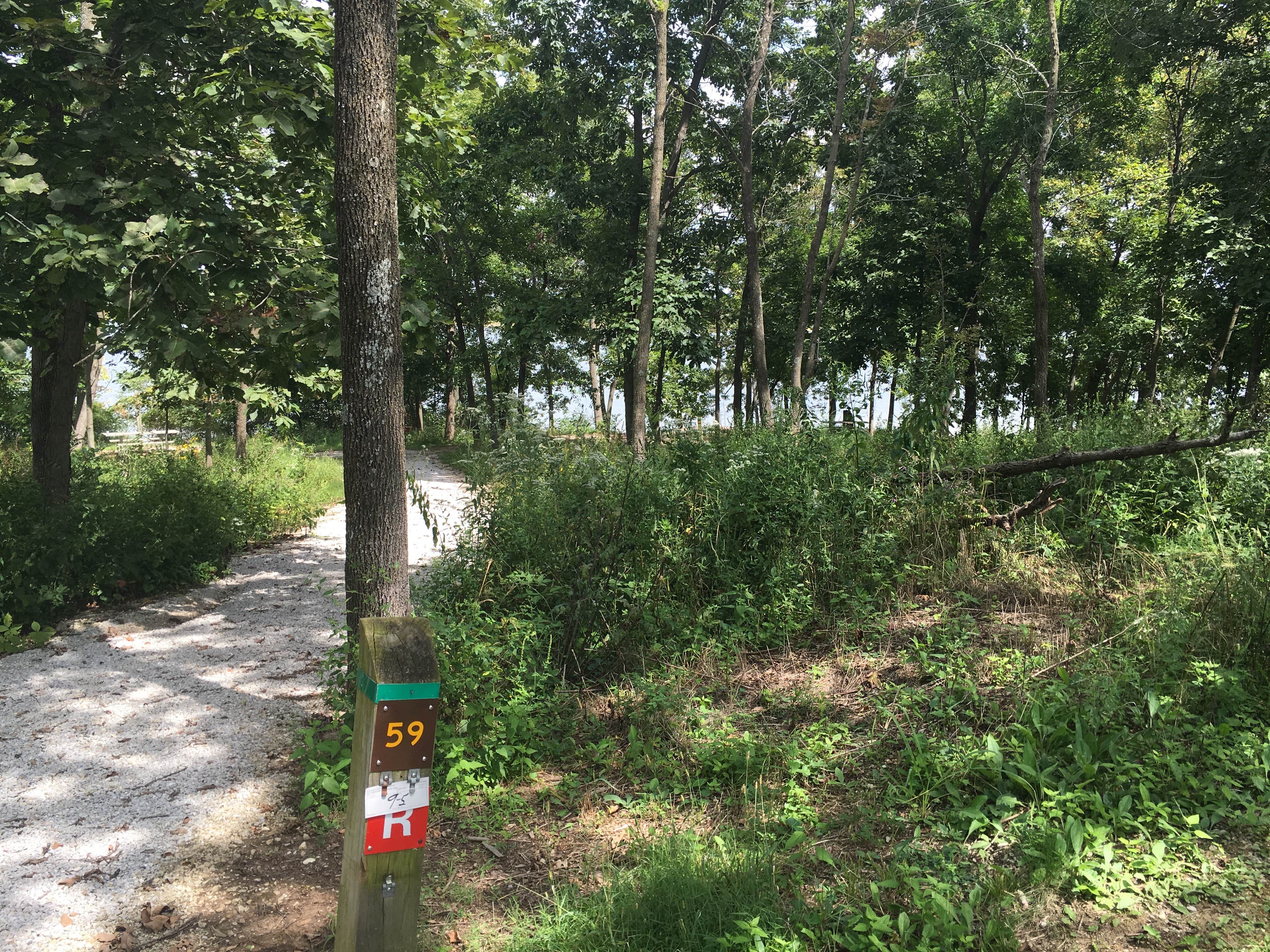 Camper submitted image from Long Branch State Park Campground - 4