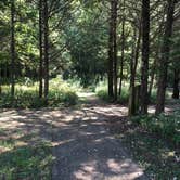 Review photo of St. Francois State Park Campground by Matt S., September 3, 2016