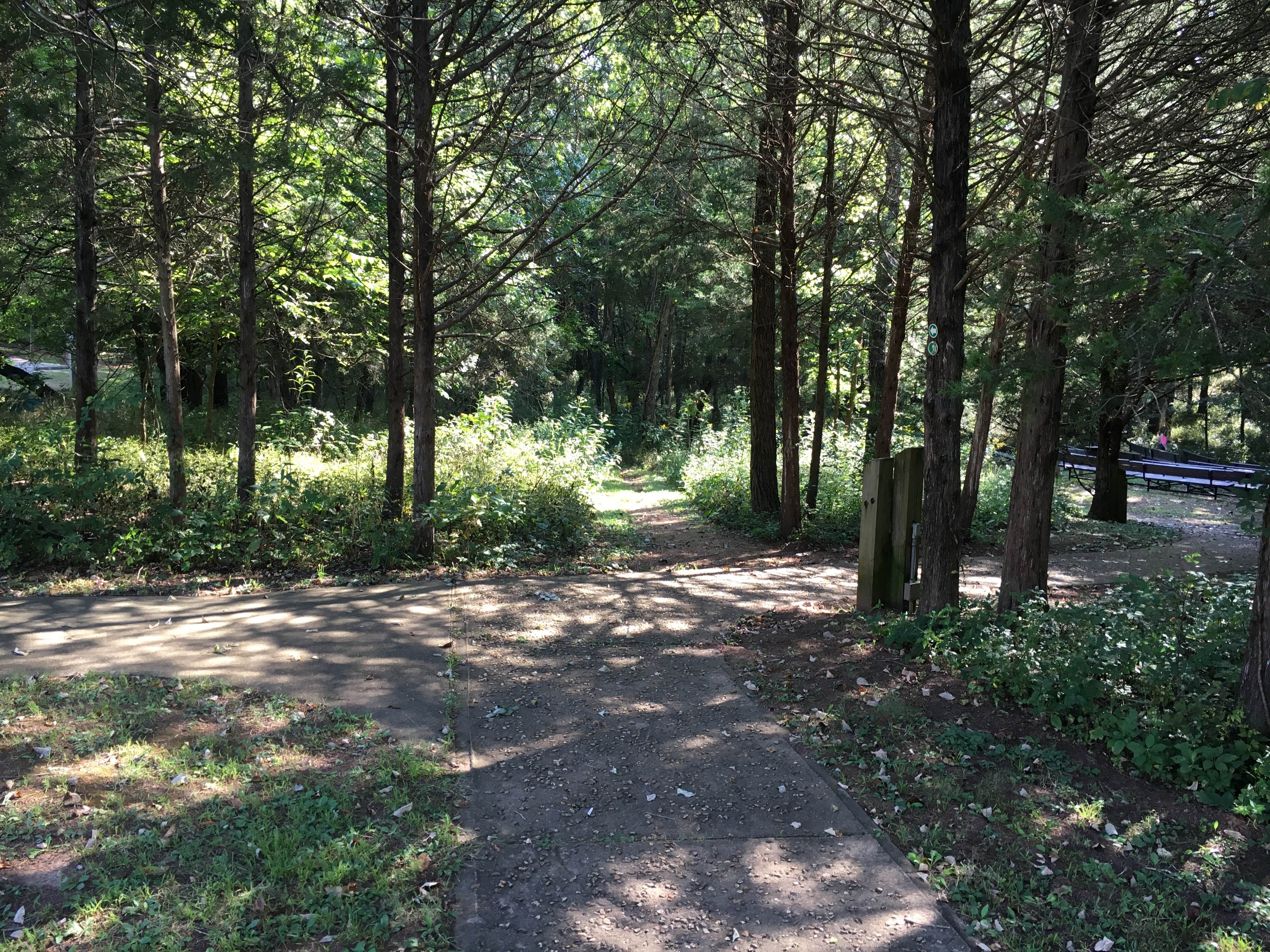 Camper submitted image from St. Francois State Park Campground - 3