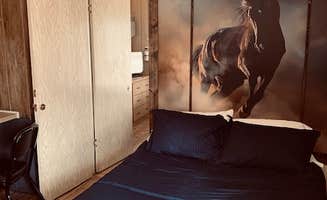 Samantha J.'s photo of camping with a horse at Happy Trails Campground & Mini Motel near Meadview, AZ