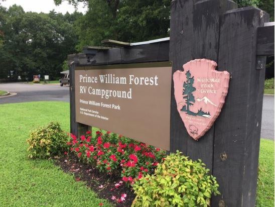 Camper submitted image from Prince William Forest RV Campground — Prince William Forest Park - 1