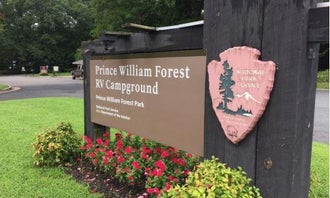 Camping near Pohick Bay Campground: Prince William Forest RV Campground — Prince William Forest Park, Dumfries, Virginia