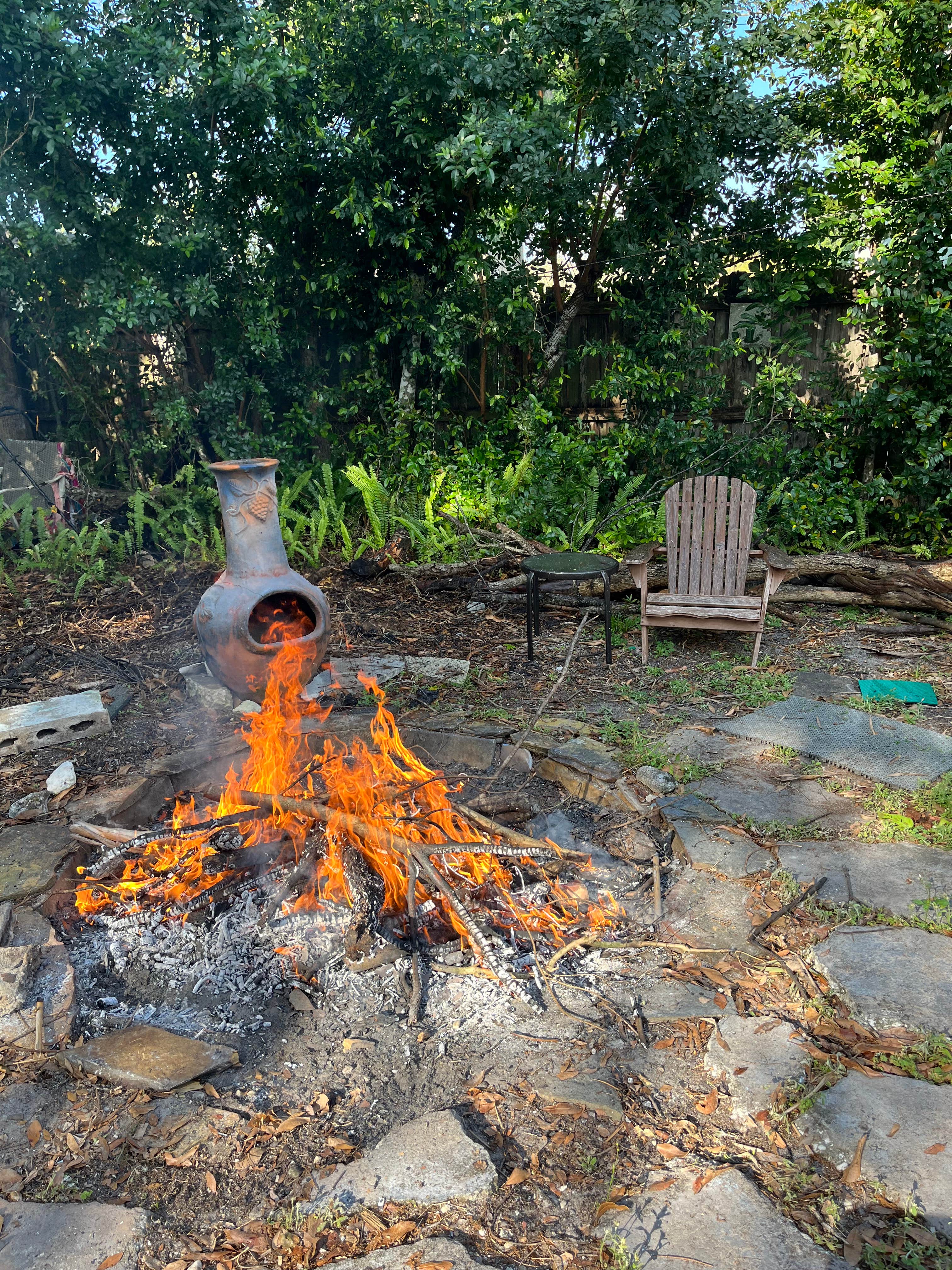 Camping near West Bay Oaks RV Park: Northeast St Pete Sprinter Van or Small Camper Spot, St. Petersburg, Florida