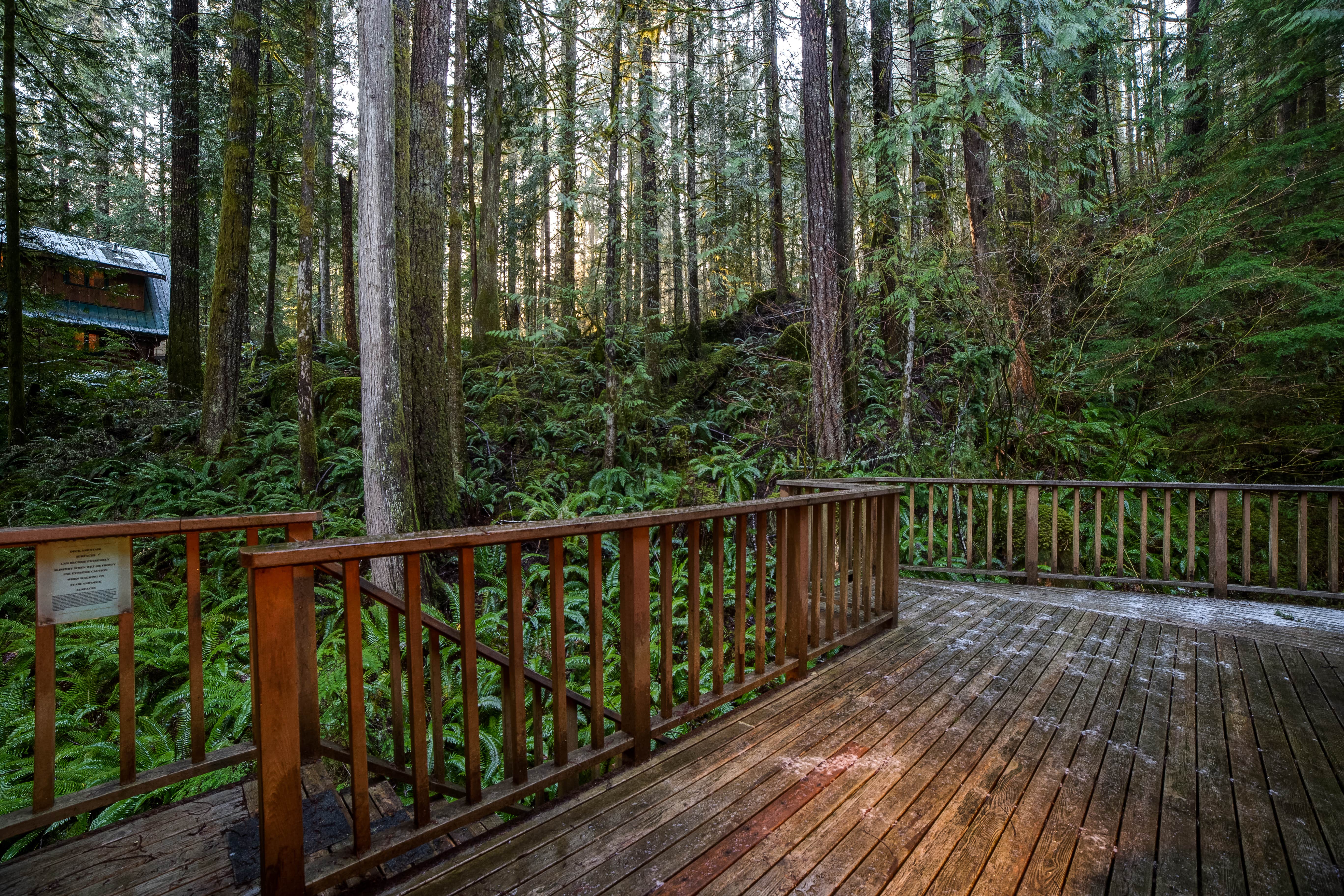 Camper submitted image from Mt. Baker Lodging - Cabin #51 - Ping Pong, Fireplace, BBQ, A/C, Sleeps-8! - 3