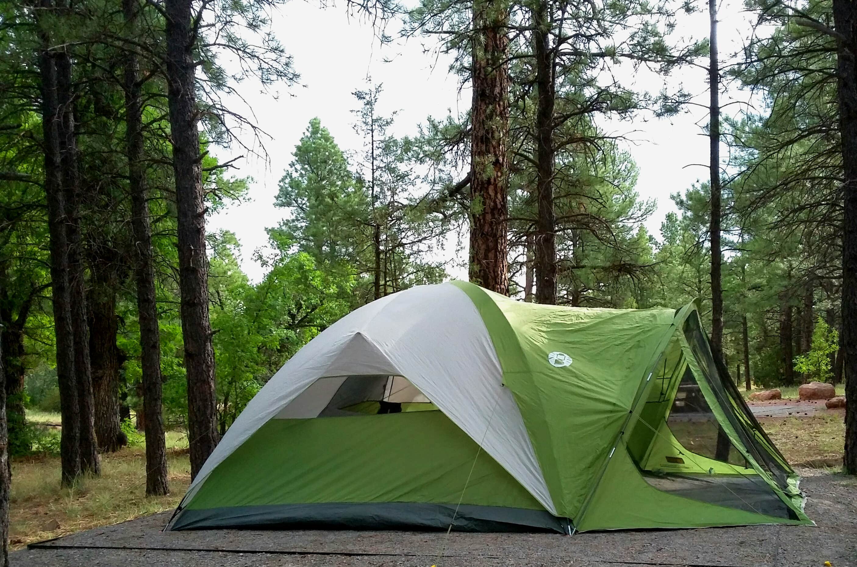 Camper submitted image from Quaking Aspen Campground - 2
