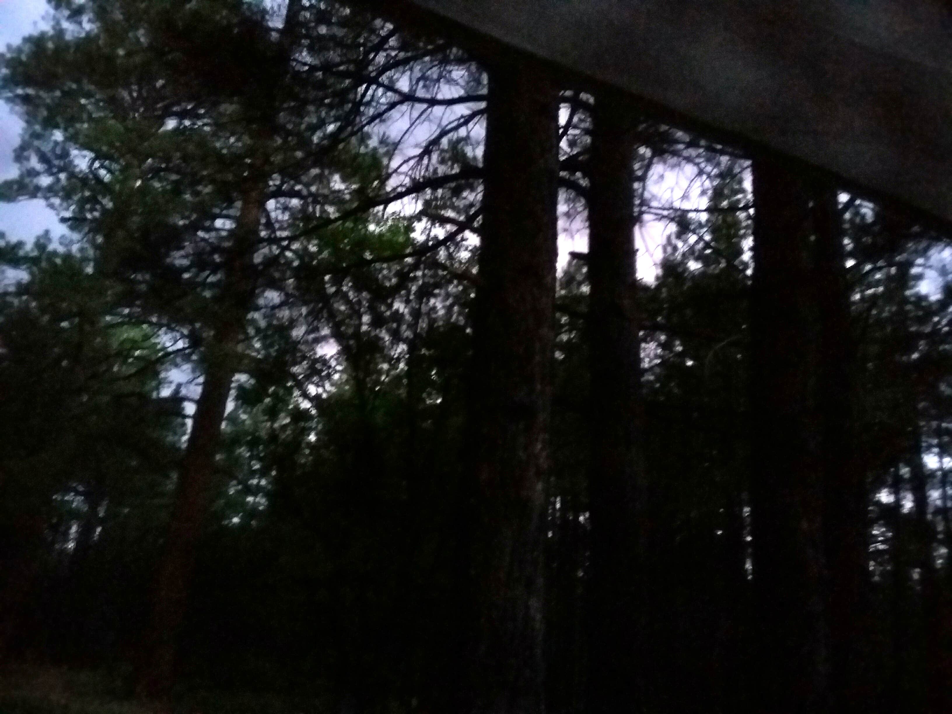 Camper-submitted photo at Quaking Aspen Campground near Rehoboth, NM