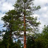 Review photo of Quaking Aspen Campground by Charles V., September 4, 2016