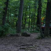 Review photo of Northern Lights Campground — Devils Lake State Park by Jimmy P., August 26, 2015
