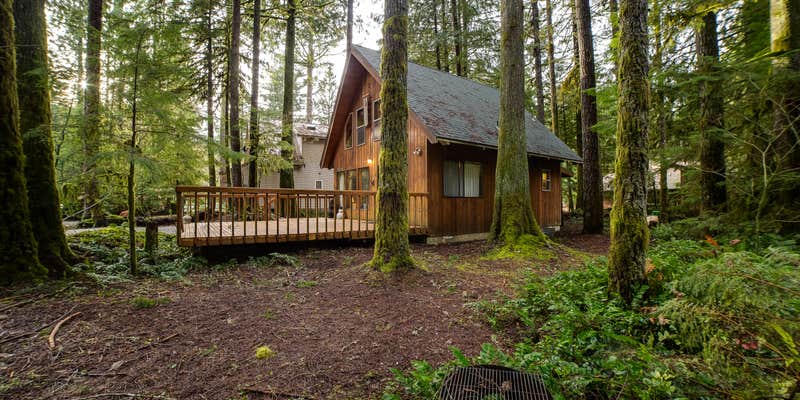 Camper submitted image from Mt. Baker Lodging - Cabin #35 - Fireplace, A/C, Wifi, Pets Ok, Sleeps-6!