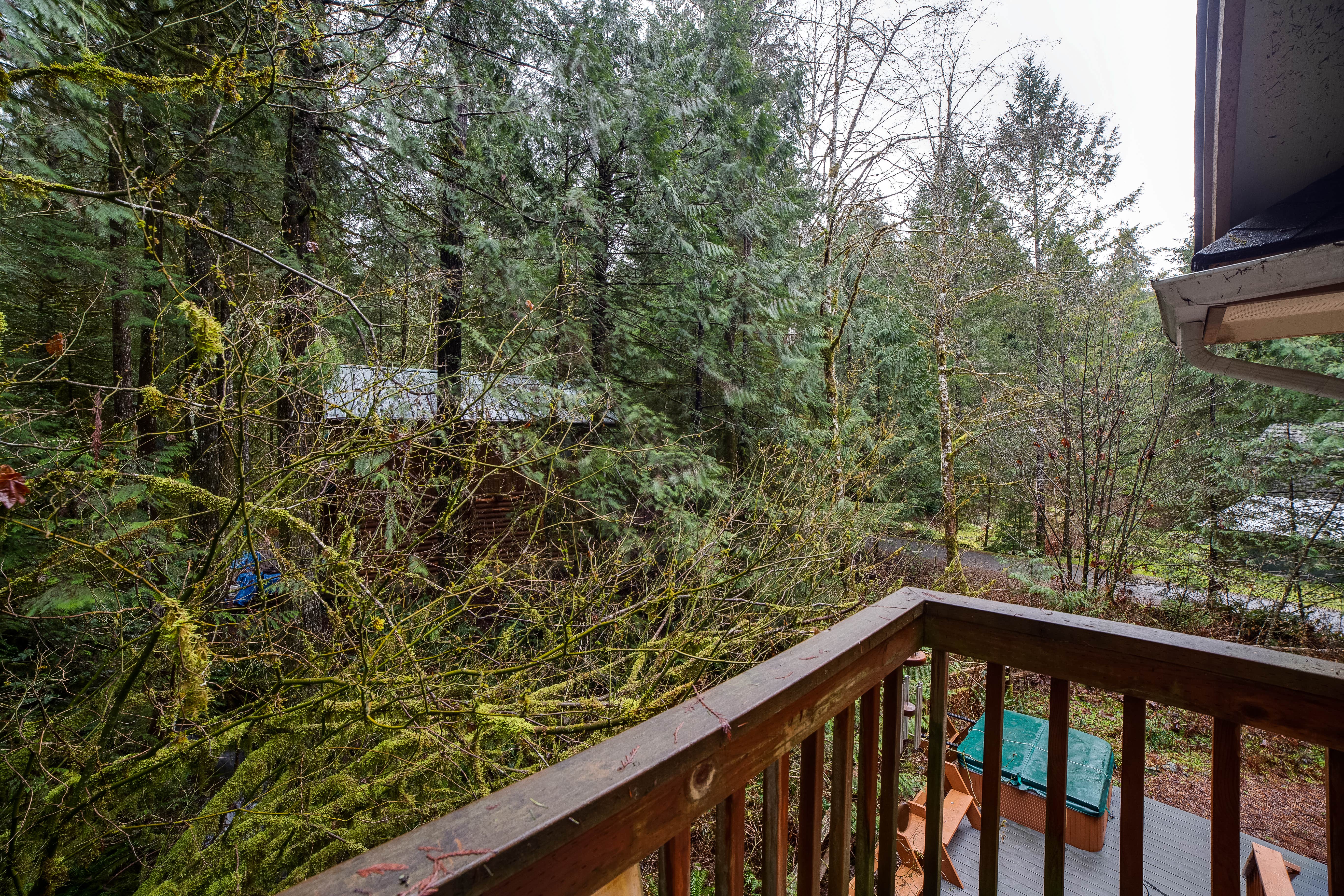 Dan  G.'s photo of a cabin at Mt. Baker Lodging - Cabin #34 - Hot Tub, BBQ, Ping Pong Table, Wifi, Sleeps-8! near Maple Falls, WA