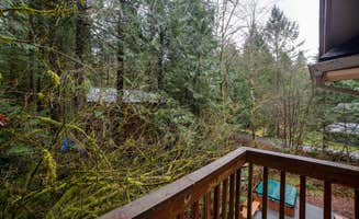 Dan G.'s photo of a cabin at Mt. Baker Lodging - Cabin #34 - Hot Tub, BBQ, Ping Pong Table, Wifi, Sleeps-8! in Washington
