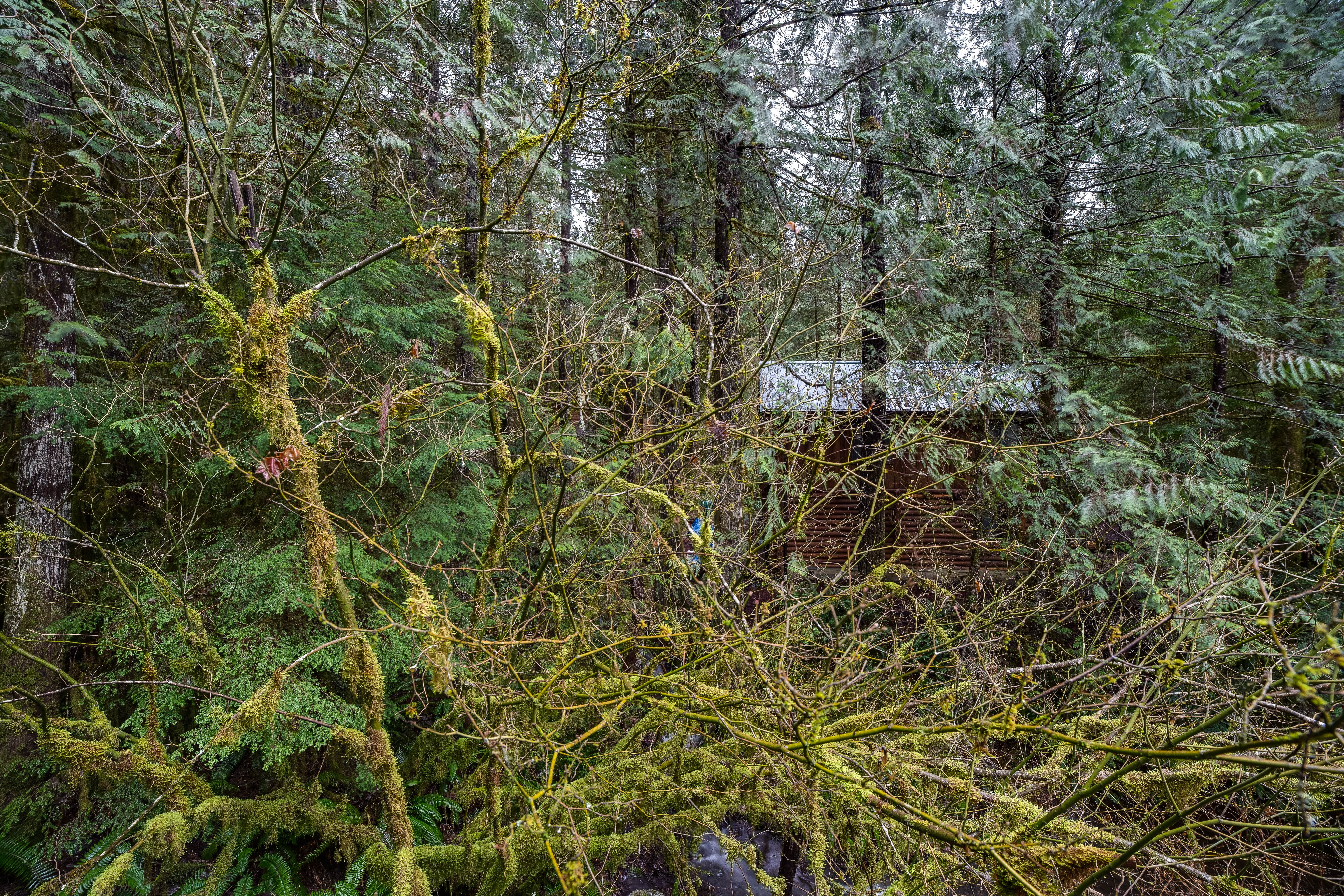 Camper submitted image from Mt. Baker Lodging - Cabin #34 - Hot Tub, BBQ, Ping Pong Table, Wifi, Sleeps-8! - 5