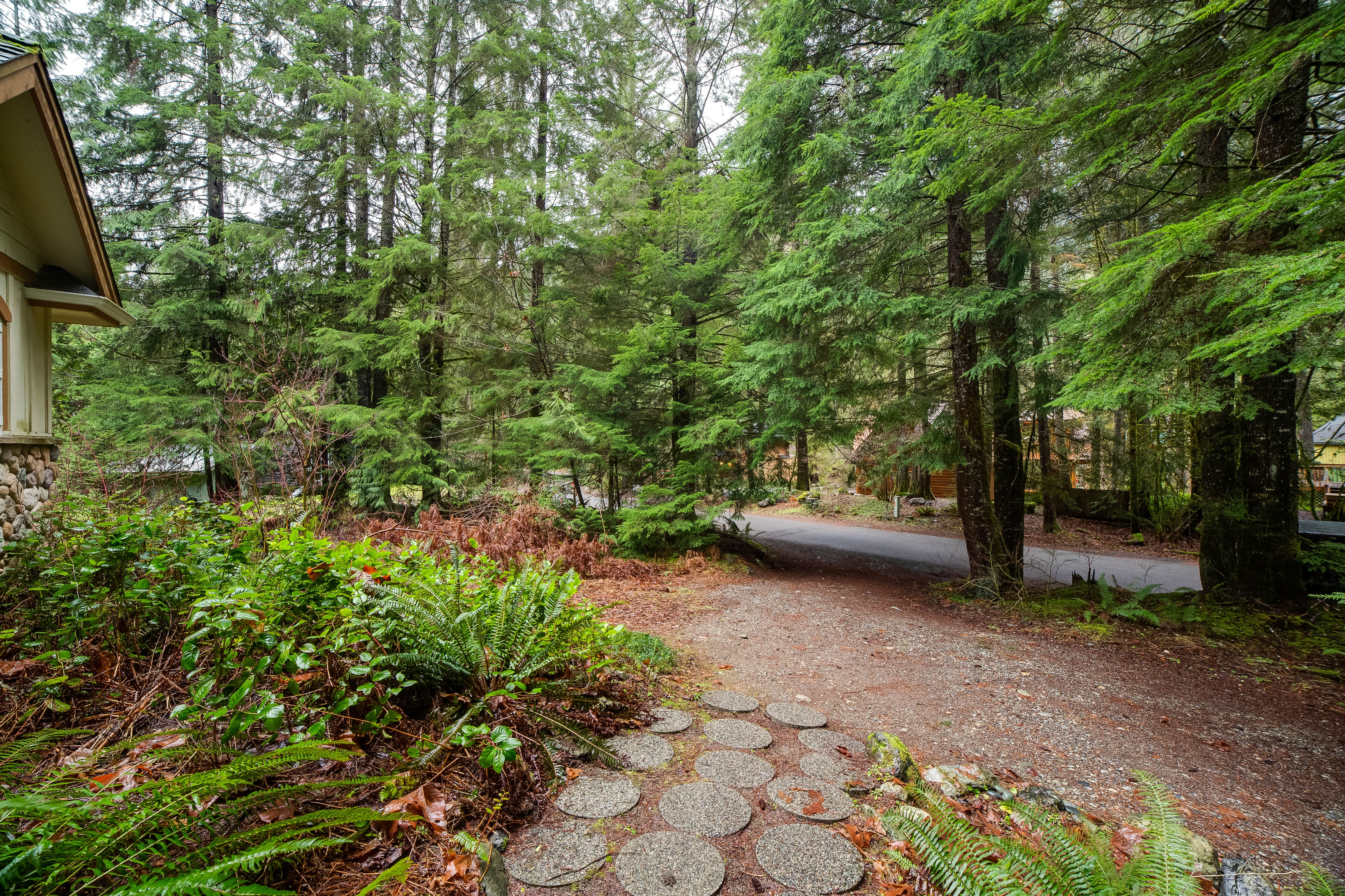 Camper submitted image from Snowline Cabin #34 - Mt. Baker Lodging - 5