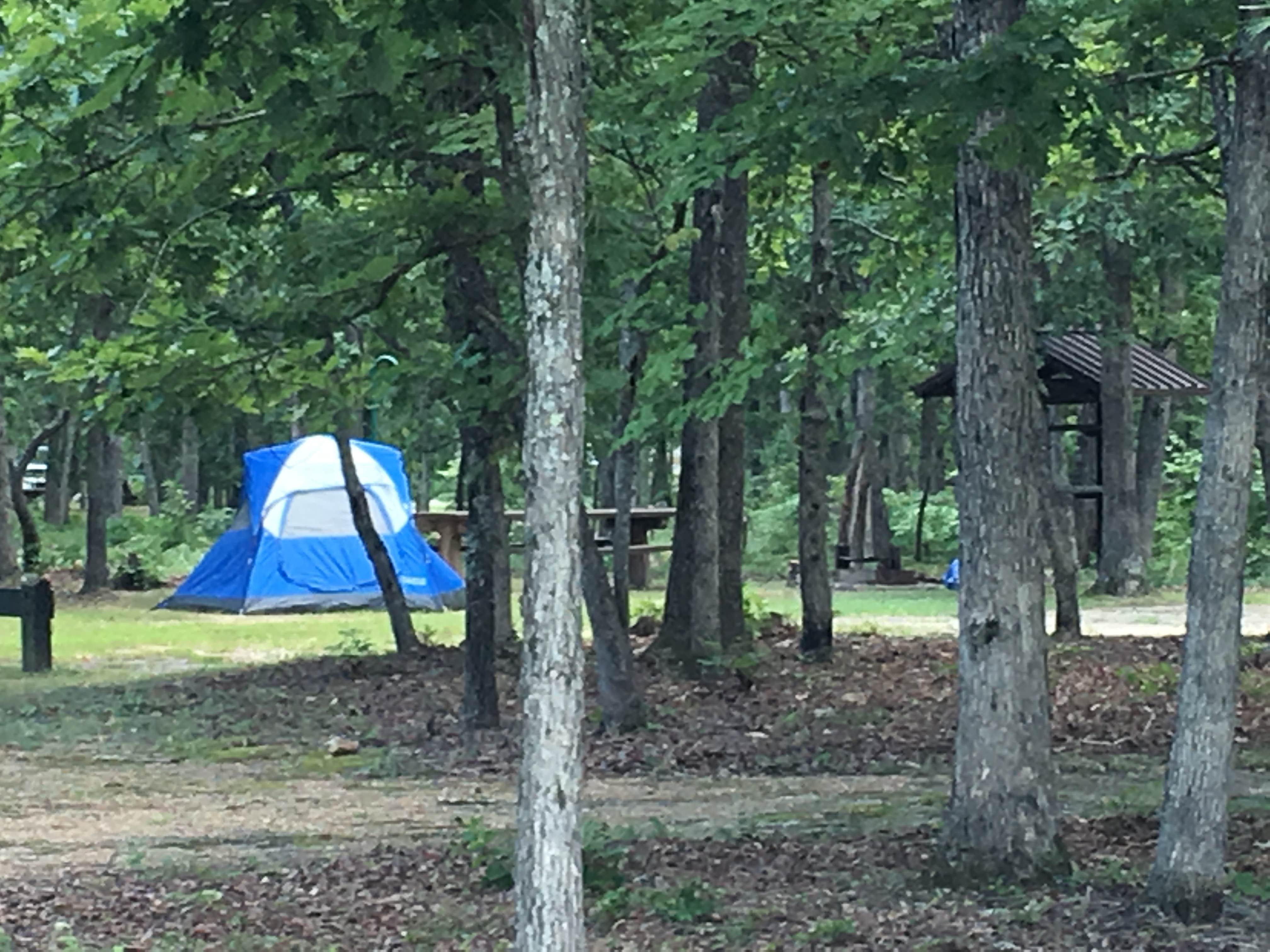 Camper submitted image from Council Bluff Recreation Area - 3