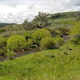 Review photo of Middle Fork of The Powder River Campground by Rayshell K., June 25, 2019