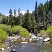 Review photo of Middle Fork of The Powder River Campground by Rayshell K., June 25, 2019