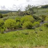 Review photo of Middle Fork of The Powder River Campground by Rayshell K., June 25, 2019