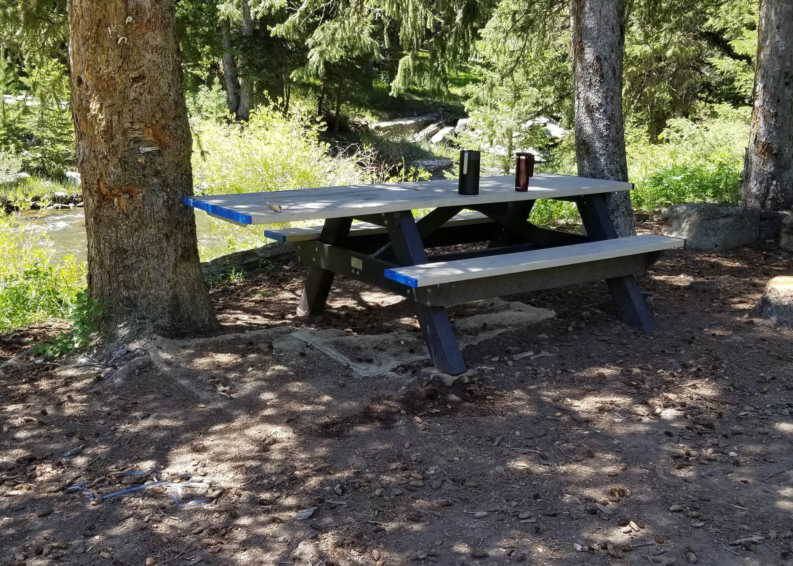 Middle Fork Campground Camping | The Dyrt