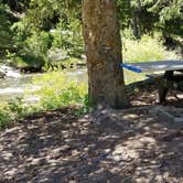 Review photo of Middle Fork of The Powder River Campground by Rayshell K., June 25, 2019