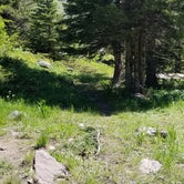 Review photo of Middle Fork Campground by Rayshell K., June 25, 2019