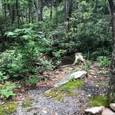 Review photo of Montreat Family Campground by Haleigh H., June 25, 2019