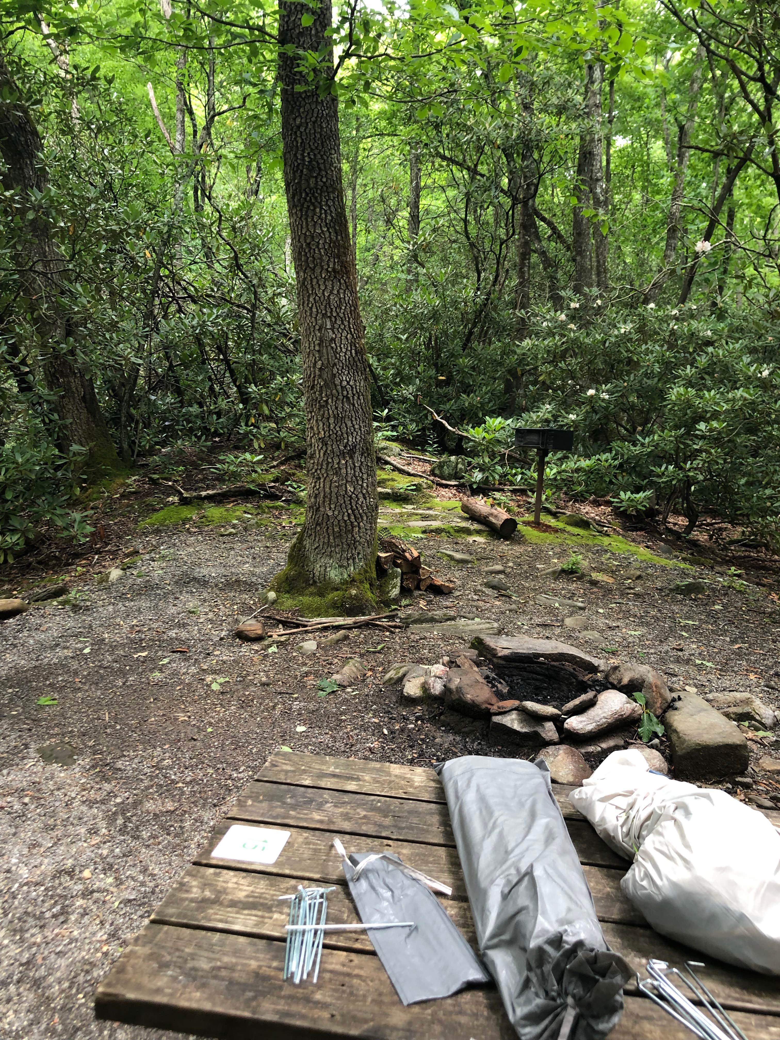 Camper submitted image from Montreat Family Campground - 2