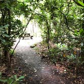 Review photo of Montreat Family Campground by Haleigh H., June 25, 2019