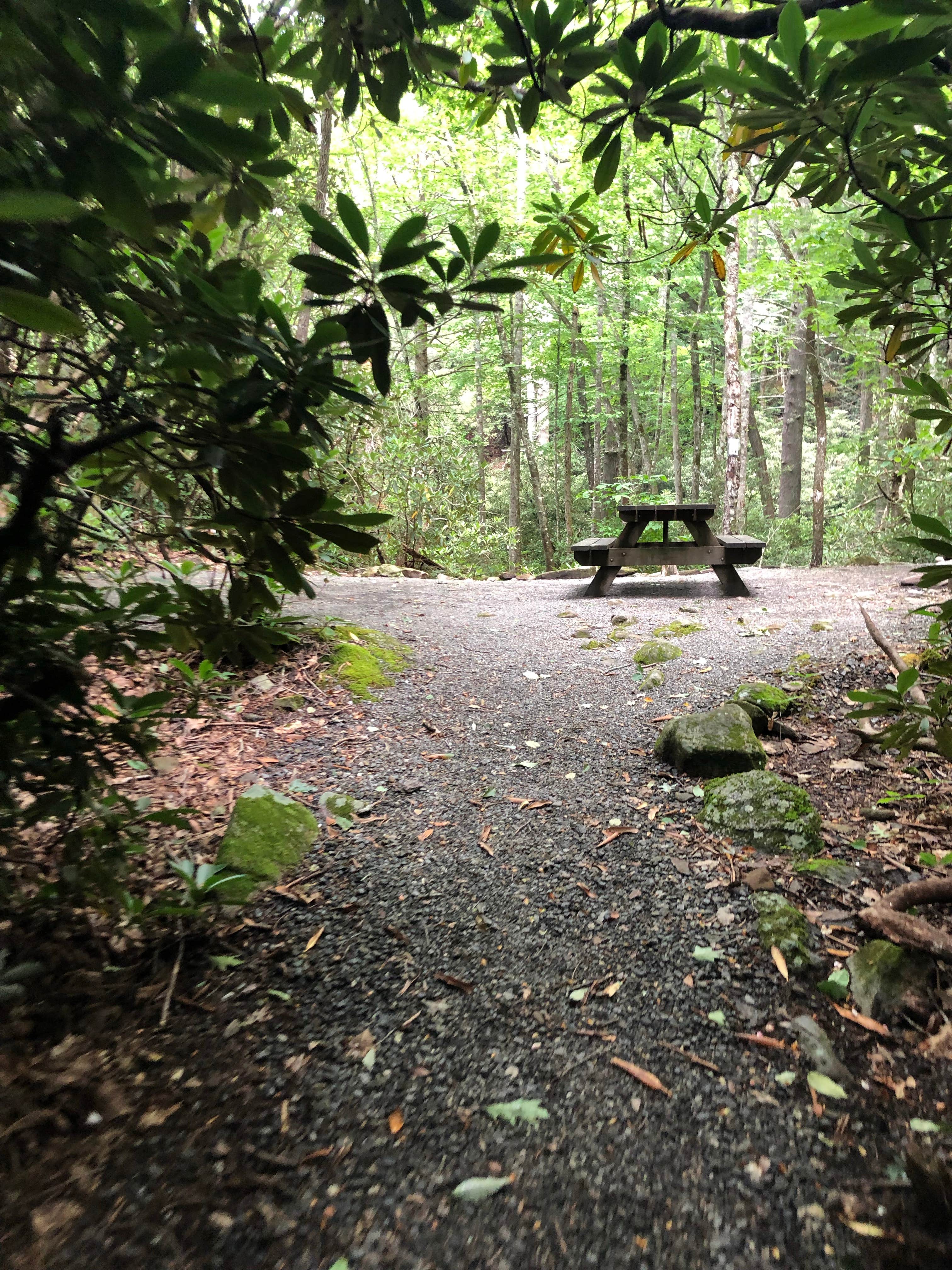 Camper-submitted photo at Montreat Family Campground near Gerton, NC