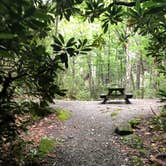 Review photo of Montreat Family Campground by Haleigh H., June 25, 2019