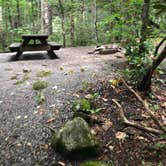 Review photo of Montreat Family Campground by Haleigh H., June 25, 2019