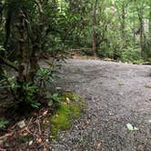 Review photo of Montreat Family Campground by Haleigh H., June 25, 2019