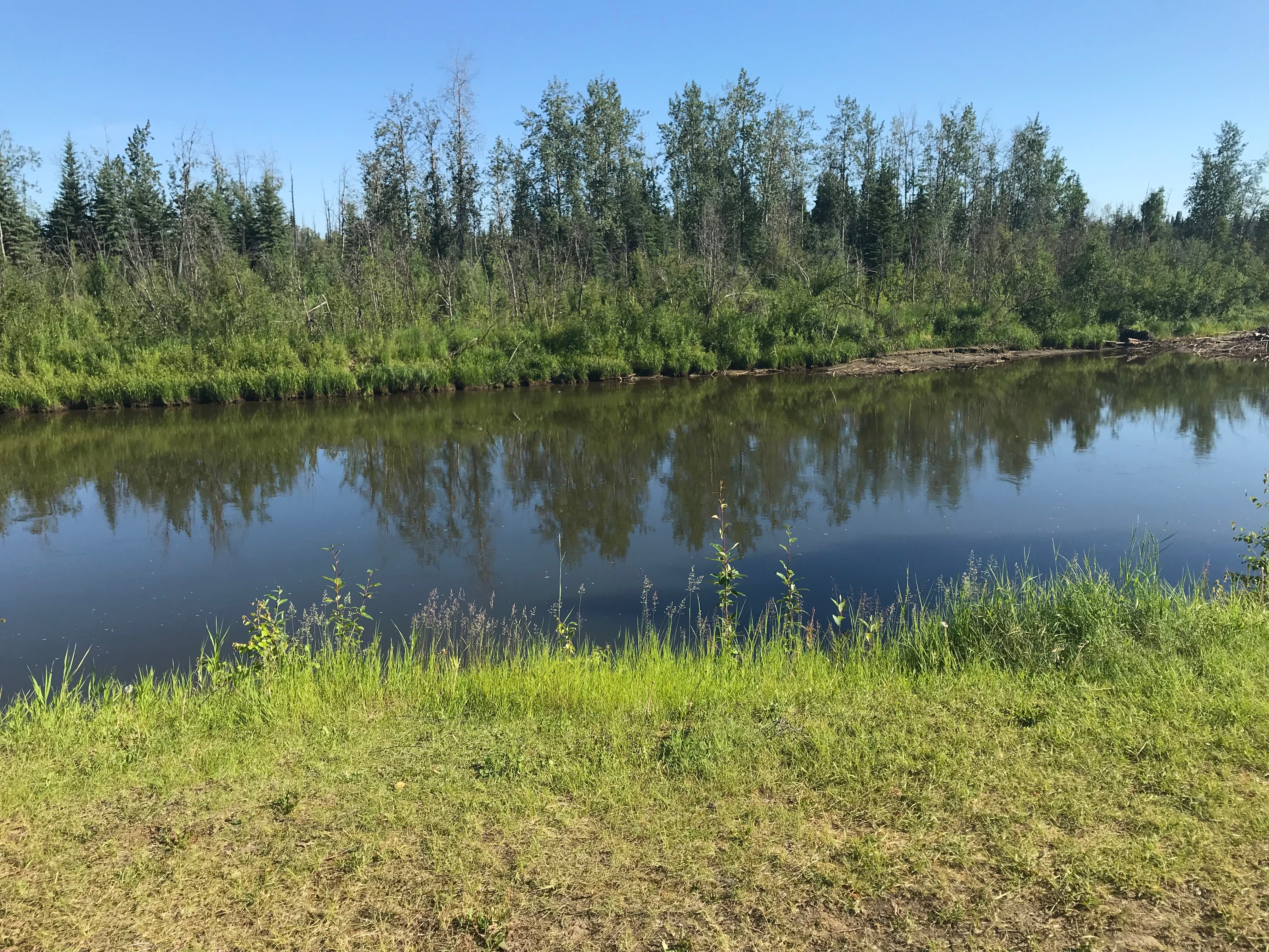 Camper submitted image from Fairbanks / Chena River KOA - 5