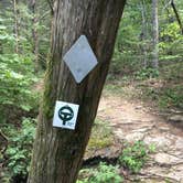 Review photo of Council Bluff Recreation Area by Matt S., September 4, 2016