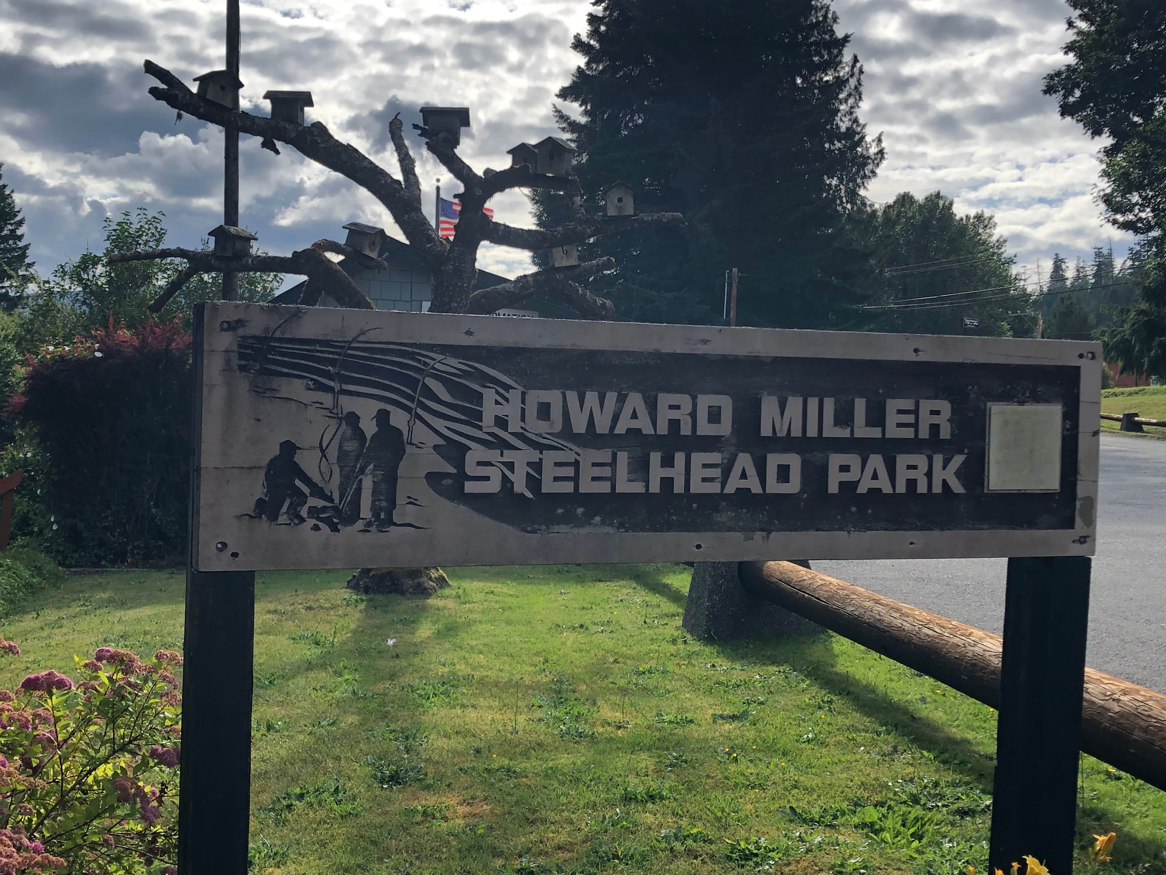 Camper submitted image from Howard Miller Steelhead County Park - 5
