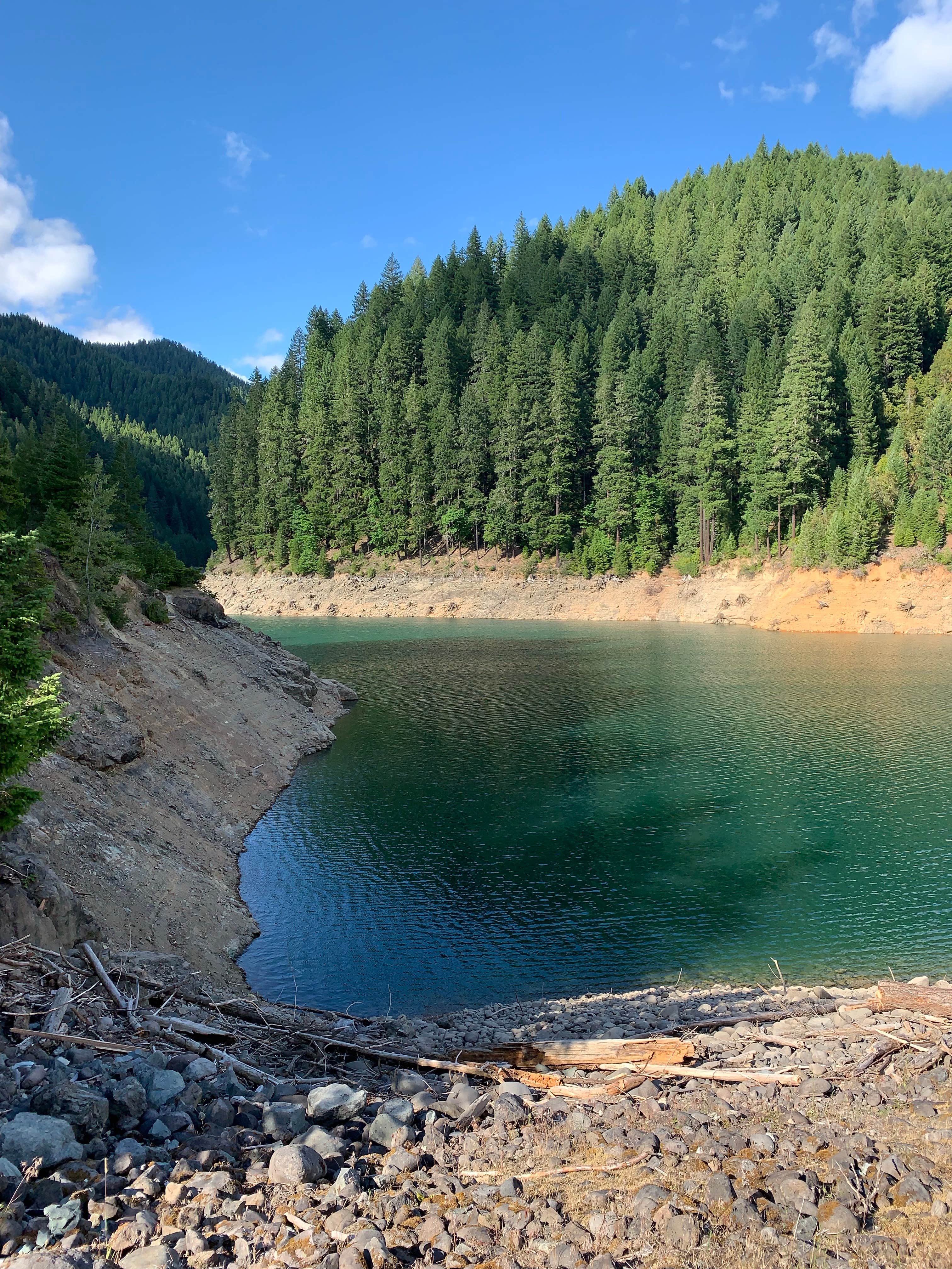 Camper-submitted photo at Blue River Reservoir Roadside Camping near Dexter, OR