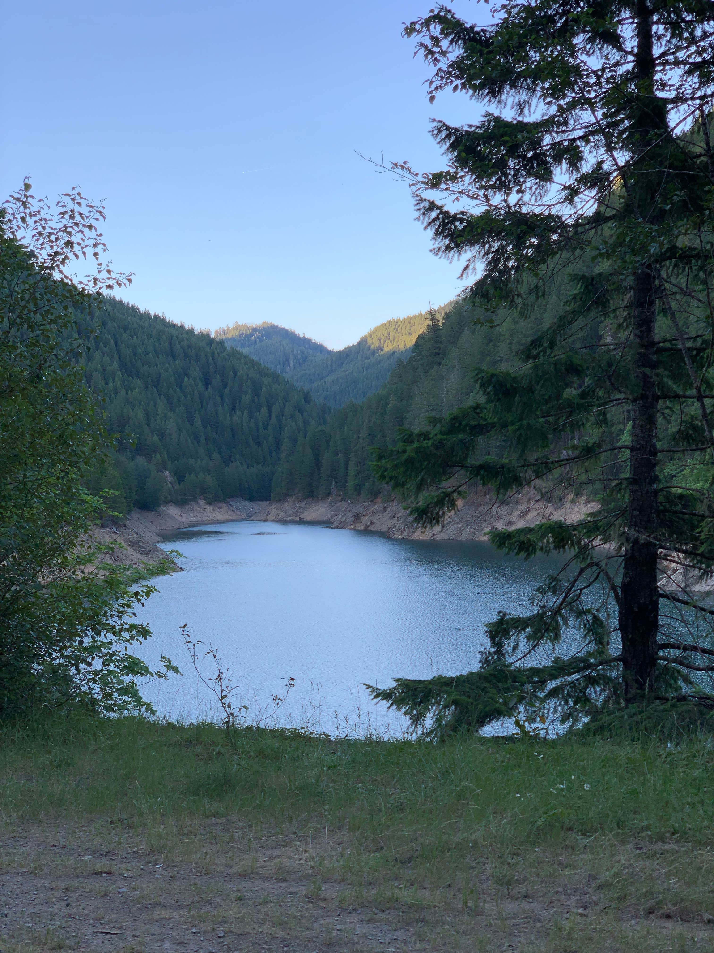 View All