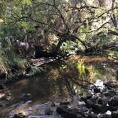 Review photo of Oscar Scherer State Park Campground by Sarah C., June 25, 2019