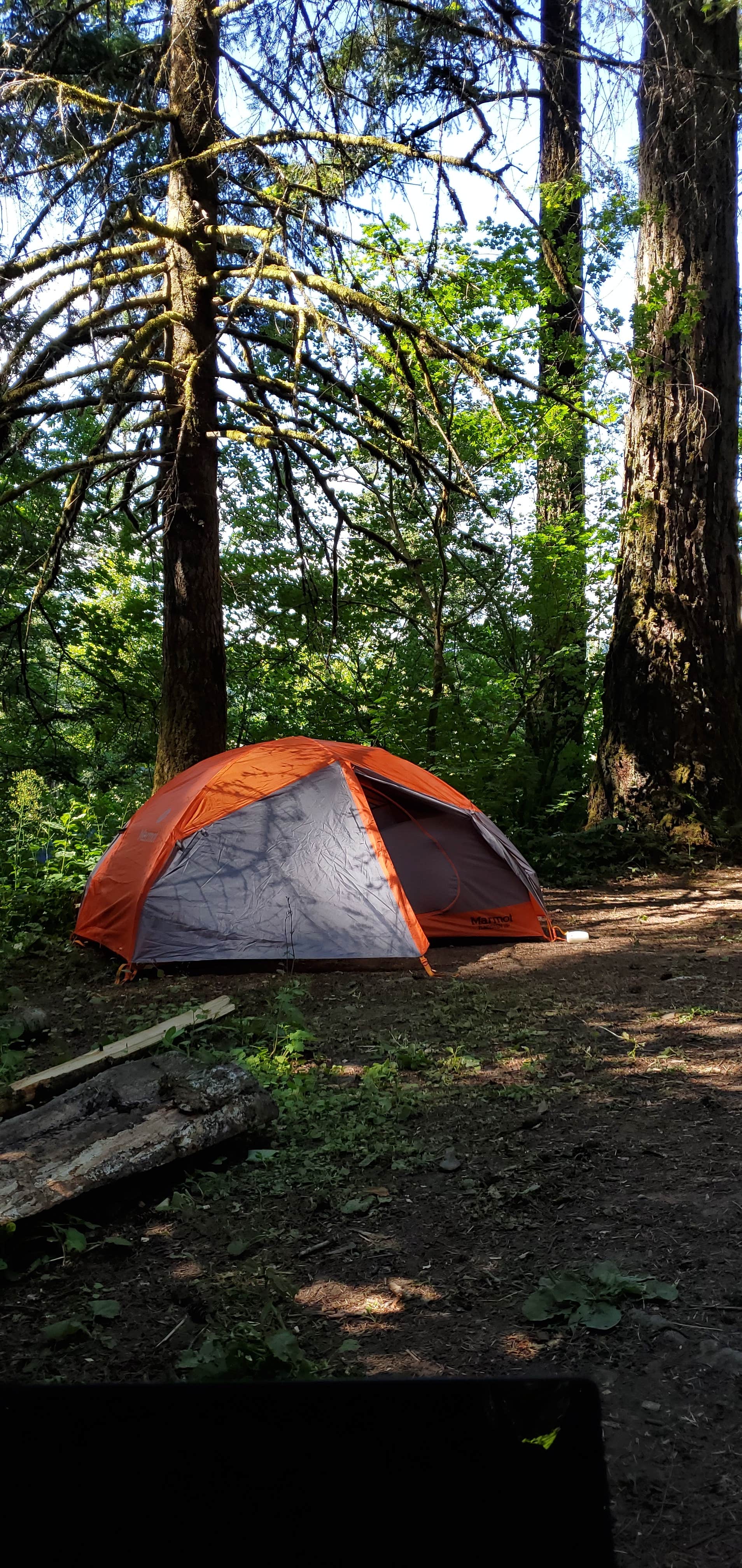 Camper submitted image from Eagle Creek Campground - 5