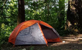 Rick N.'s photo at Eagle Creek Campground near North Bonneville, WA